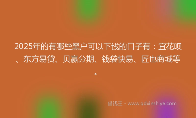 2025年的有哪些黑户可以下钱的口子有：宜花呗、东方易贷、贝赢分期、钱袋快易、匠也商城等。