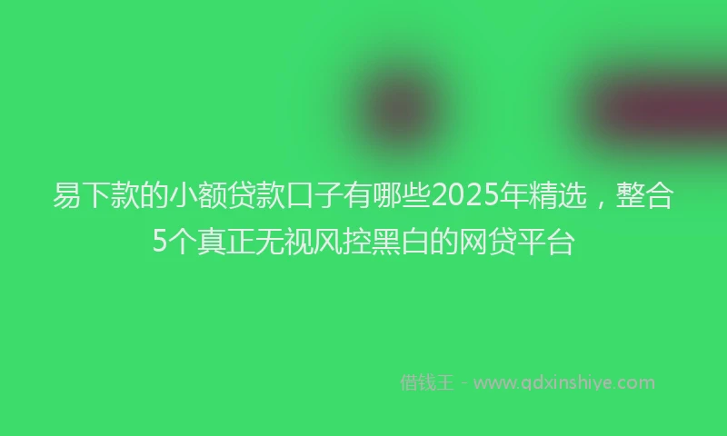 易下款的小额贷款口子有哪些2025年精选，整合5个真正无视风控黑白的网贷平台