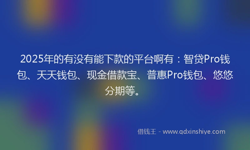2025年的有没有能下款的平台啊有：智贷Pro钱包、天天钱包、现金借款宝、普惠Pro钱包、悠悠分期等。