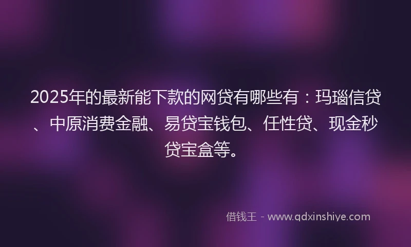 2025年的最新能下款的网贷有哪些有：玛瑙信贷、中原消费金融、易贷宝钱包、任性贷、现金秒贷宝盒等。