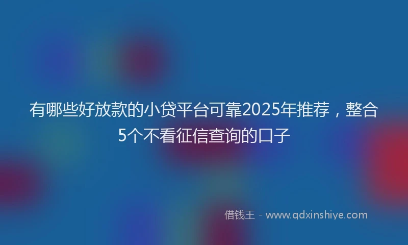 有哪些好放款的小贷平台可靠2025年推荐，整合5个不看征信查询的口子