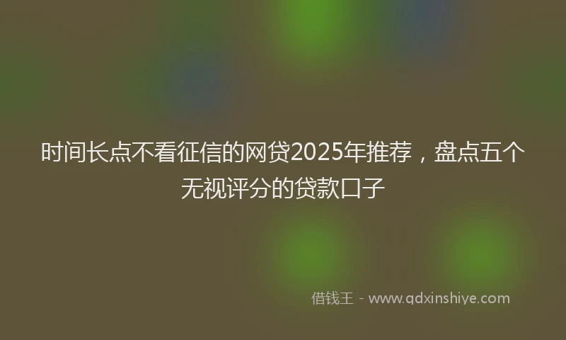 时间长点不看征信的网贷2025年推荐，盘点五个无视评分的贷款口子