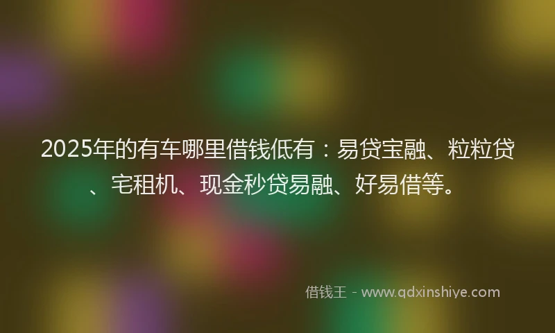 2025年的有车哪里借钱低有：易贷宝融、粒粒贷、宅租机、现金秒贷易融、好易借等。