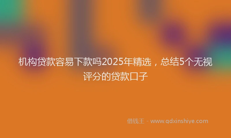 机构贷款容易下款吗2025年精选，总结5个无视评分的贷款口子