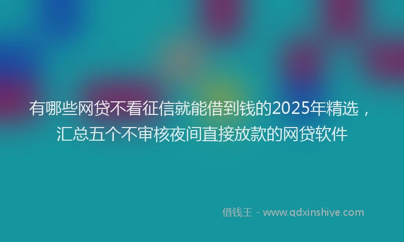 有哪些网贷不看征信就能借到钱的2025年精选，汇总五个不审核夜间直接放款的网贷软件