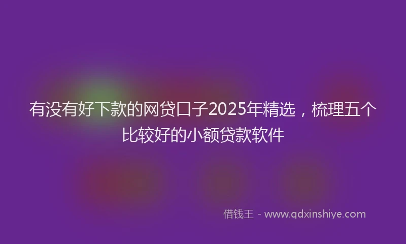 有没有好下款的网贷口子2025年精选，梳理五个比较好的小额贷款软件