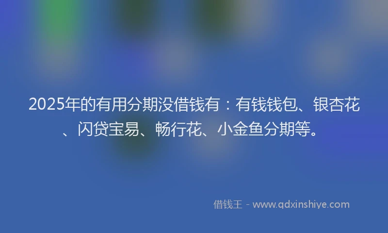 2025年的有用分期没借钱有：有钱钱包、银杏花、闪贷宝易、畅行花、小金鱼分期等。