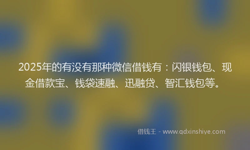 2025年的有没有那种微信借钱有：闪银钱包、现金借款宝、钱袋速融、迅融贷、智汇钱包等。