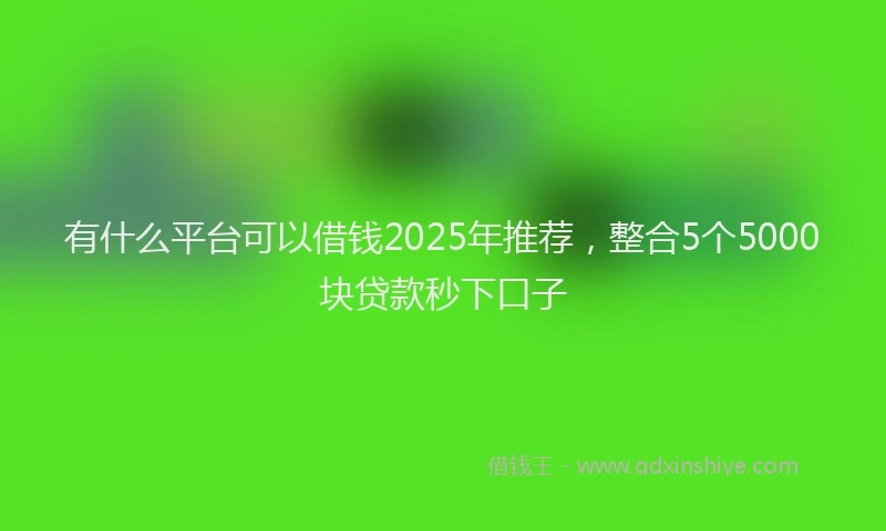 有什么平台可以借钱2025年推荐，整合5个5000块贷款秒下口子