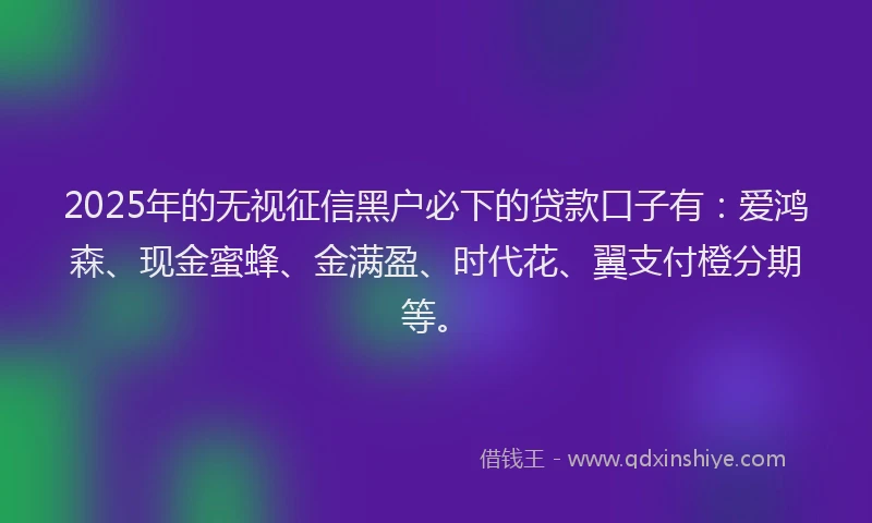 2025年的无视征信黑户必下的贷款口子有：爱鸿森、现金蜜蜂、金满盈、时代花、翼支付橙分期等。