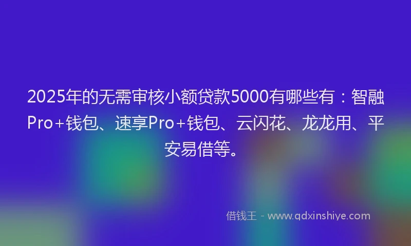 2025年的无需审核小额贷款5000有哪些有：智融Pro+钱包、速享Pro+钱包、云闪花、龙龙用、平安易借等。