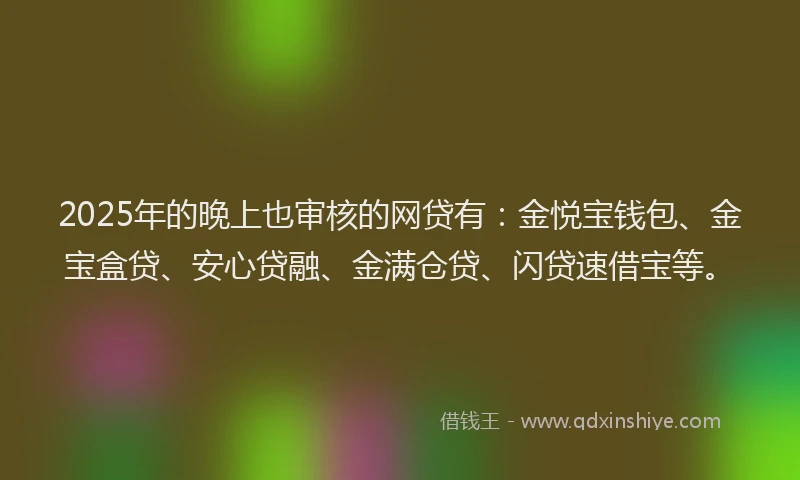2025年的晚上也审核的网贷有：金悦宝钱包、金宝盒贷、安心贷融、金满仓贷、闪贷速借宝等。