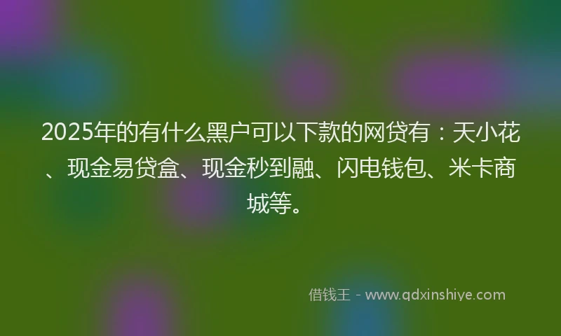 2025年的有什么黑户可以下款的网贷有：天小花、现金易贷盒、现金秒到融、闪电钱包、米卡商城等。
