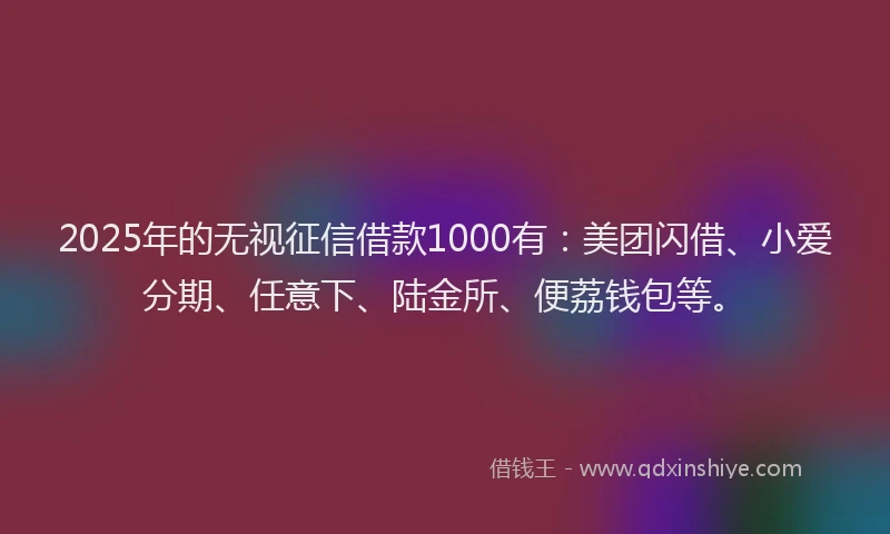 2025年的无视征信借款1000有：美团闪借、小爱分期、任意下、陆金所、便荔钱包等。
