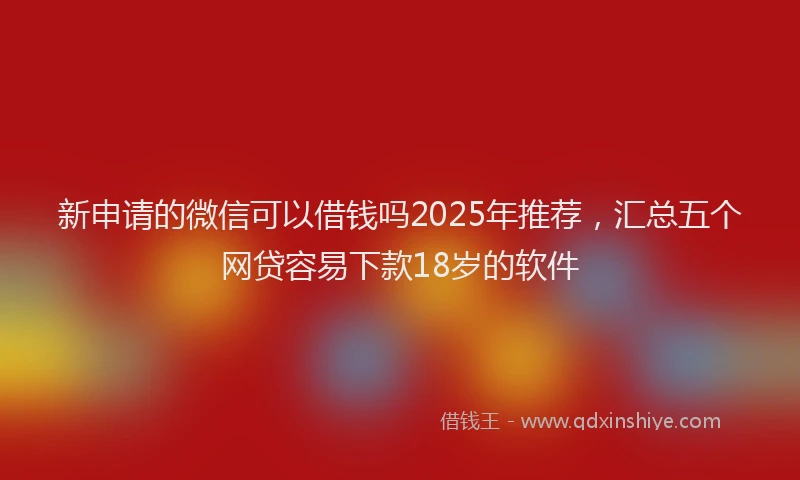 新申请的微信可以借钱吗2025年推荐，汇总五个网贷容易下款18岁的软件