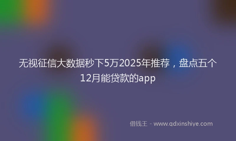 无视征信大数据秒下5万2025年推荐，盘点五个12月能贷款的app