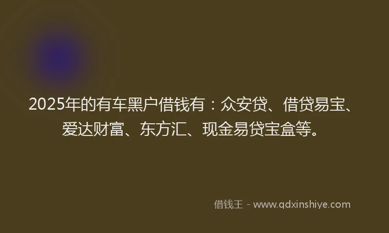 2025年的有车黑户借钱有：众安贷、借贷易宝、爱达财富、东方汇、现金易贷宝盒等。