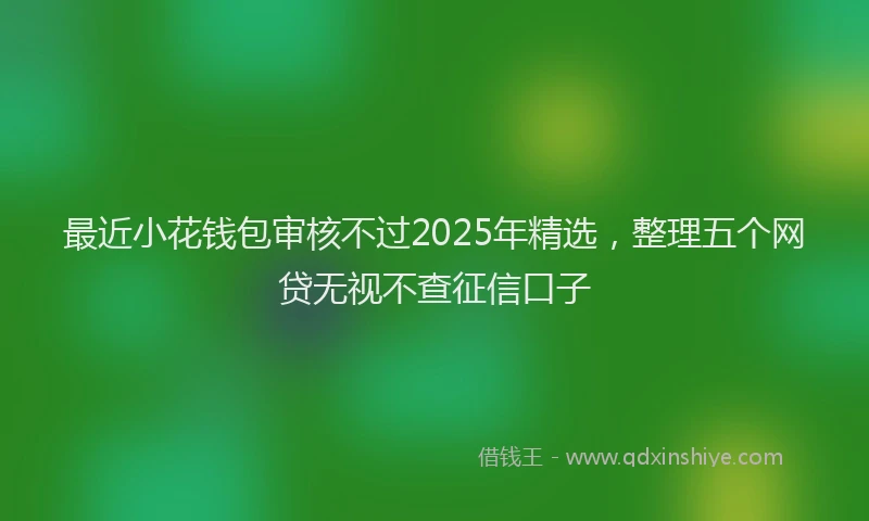 最近小花钱包审核不过2025年精选，整理五个网贷无视不查征信口子
