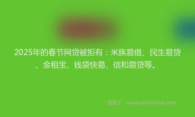 2025年的春节网贷被拒有：米族易借、民生易贷、金租宝、钱袋快易、信和易贷等。