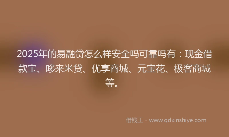 2025年的易融贷怎么样安全吗可靠吗有：现金借款宝、哆来米贷、优享商城、元宝花、极客商城等。