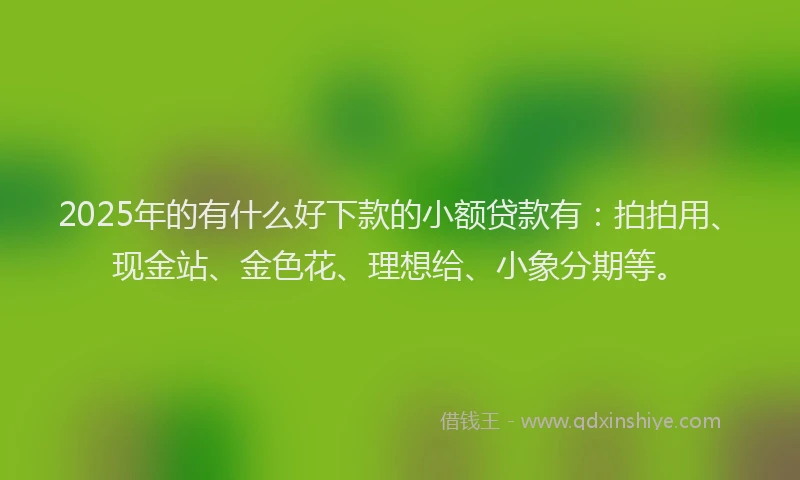 2025年的有什么好下款的小额贷款有：拍拍用、现金站、金色花、理想给、小象分期等。