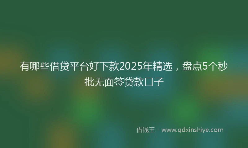 有哪些借贷平台好下款2025年精选，盘点5个秒批无面签贷款口子