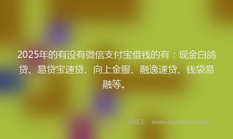 2025年的有没有微信支付宝借钱的有：现金白鸽贷、易贷宝速贷、向上金服、融逸速贷、钱袋易融等。