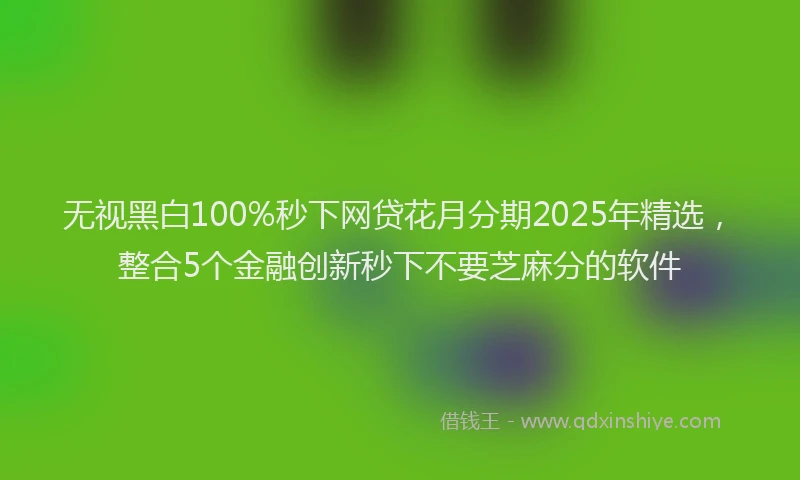 无视黑白100%秒下网贷花月分期2025年精选，整合5个金融创新秒下不要芝麻分的软件