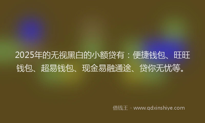 2025年的无视黑白的小额贷有：便捷钱包、旺旺钱包、超易钱包、现金易融通途、贷你无忧等。