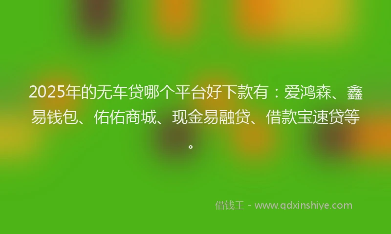 2025年的无车贷哪个平台好下款有：爱鸿森、鑫易钱包、佑佑商城、现金易融贷、借款宝速贷等。