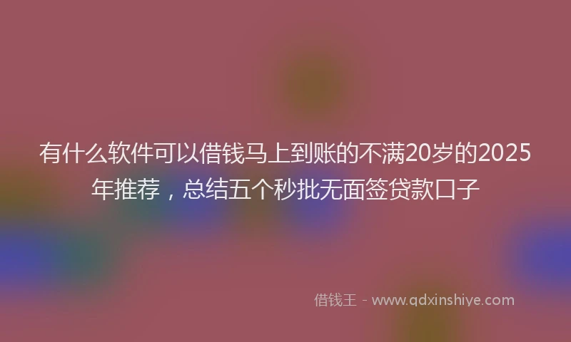 有什么软件可以借钱马上到账的不满20岁的2025年推荐，总结五个秒批无面签贷款口子