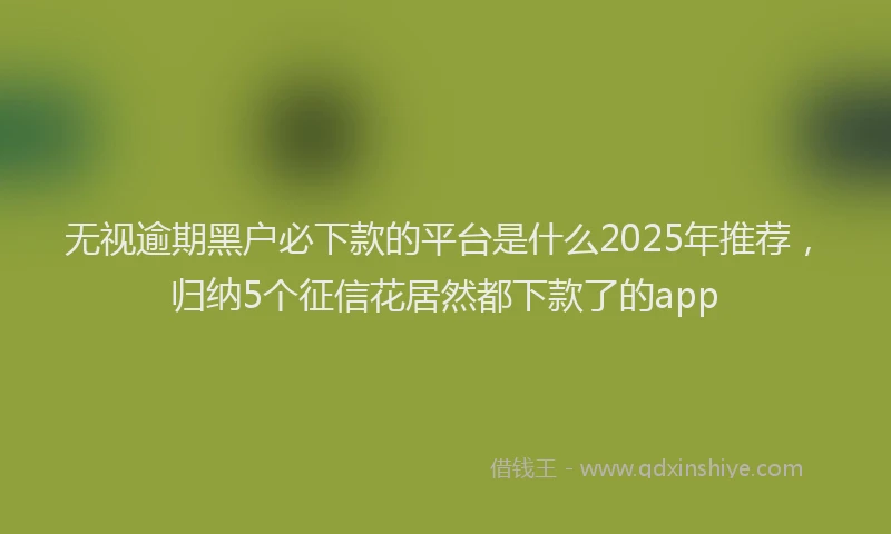 无视逾期黑户必下款的平台是什么2025年推荐，归纳5个征信花居然都下款了的app