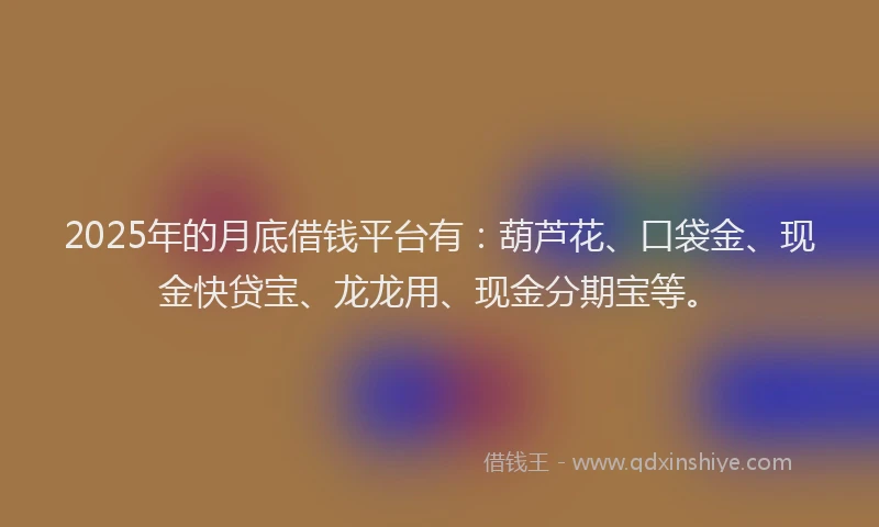 2025年的月底借钱平台有：葫芦花、口袋金、现金快贷宝、龙龙用、现金分期宝等。
