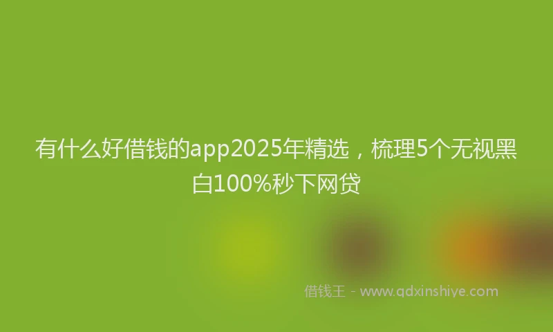 有什么好借钱的app2025年精选，梳理5个无视黑白100%秒下网贷