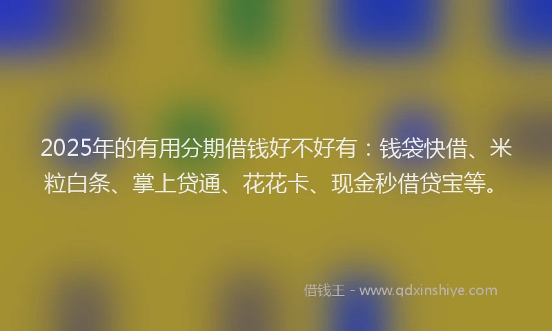 2025年的有用分期借钱好不好有：钱袋快借、米粒白条、掌上贷通、花花卡、现金秒借贷宝等。