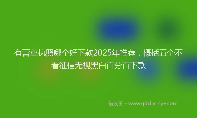 有营业执照哪个好下款2025年推荐，概括五个不看征信无视黑白百分百下款