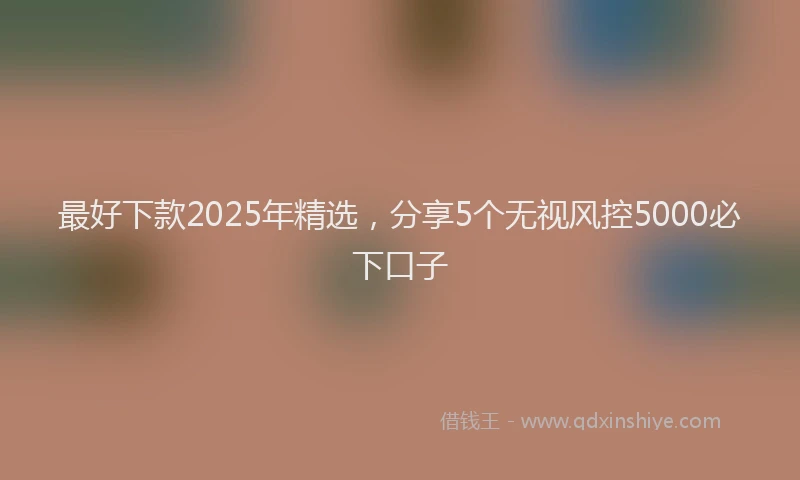 最好下款2025年精选，分享5个无视风控5000必下口子