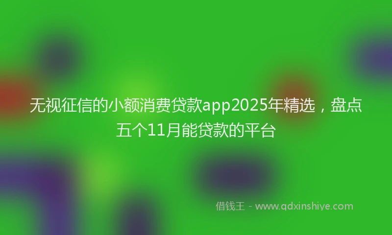 无视征信的小额消费贷款app2025年精选，盘点五个11月能贷款的平台