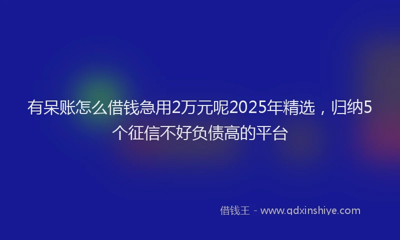 有呆账怎么借钱急用2万元呢2025年精选，归纳5个征信不好负债高的平台