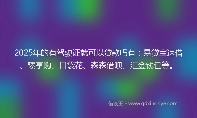 2025年的有驾驶证就可以贷款吗有：易贷宝速借、臻享购、口袋花、森森借呗、汇金钱包等。