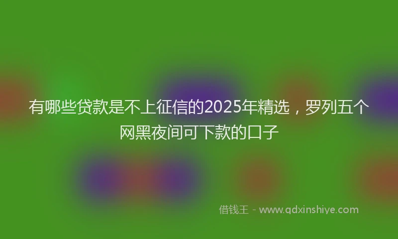 有哪些贷款是不上征信的2025年精选，罗列五个网黑夜间可下款的口子