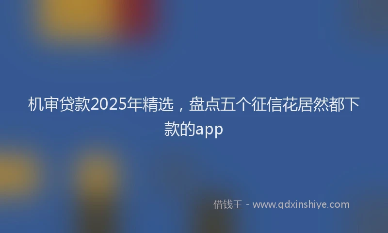 机审贷款2025年精选，盘点五个征信花居然都下款的app