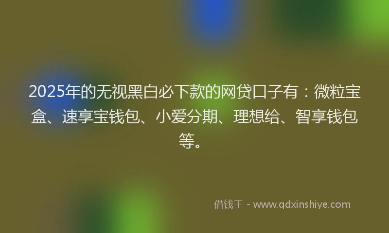 2025年的无视黑白必下款的网贷口子有：微粒宝盒、速享宝钱包、小爱分期、理想给、智享钱包等。