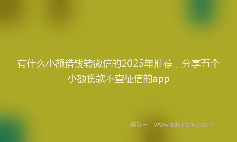 有什么小额借钱转微信的2025年推荐，分享五个小额贷款不查征信的app