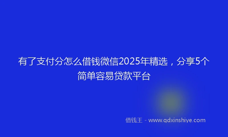 有了支付分怎么借钱微信2025年精选，分享5个简单容易贷款平台