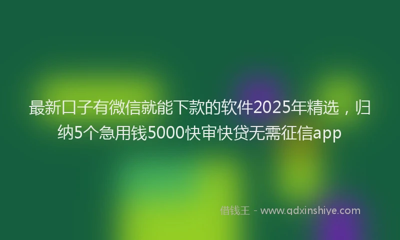 最新口子有微信就能下款的软件2025年精选，归纳5个急用钱5000快审快贷无需征信app