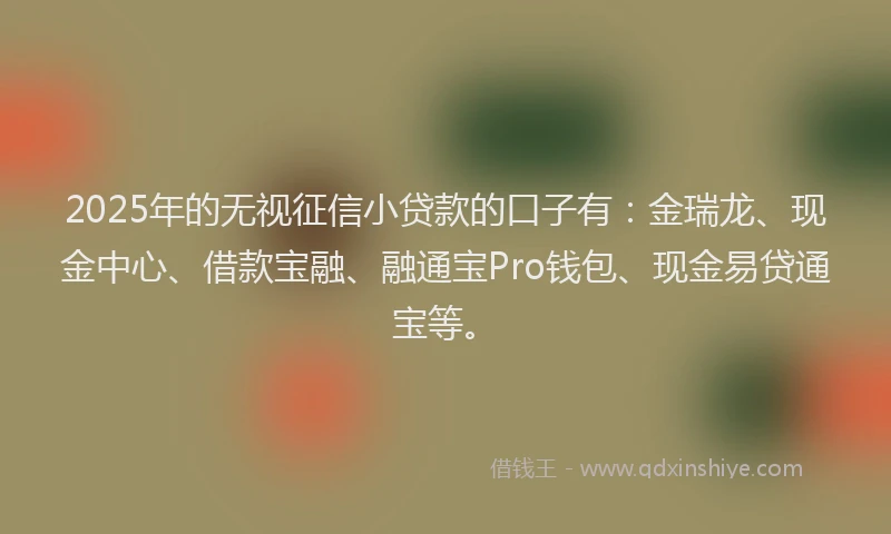 2025年的无视征信小贷款的口子有：金瑞龙、现金中心、借款宝融、融通宝Pro钱包、现金易贷通宝等。