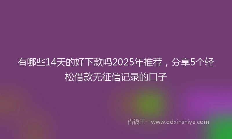 有哪些14天的好下款吗2025年推荐，分享5个轻松借款无征信记录的口子