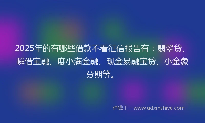 2025年的有哪些借款不看征信报告有：翡翠贷、瞬借宝融、度小满金融、现金易融宝贷、小金象分期等。