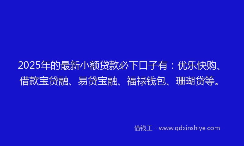 2025年的最新小额贷款必下口子有：优乐快购、借款宝贷融、易贷宝融、福禄钱包、珊瑚贷等。